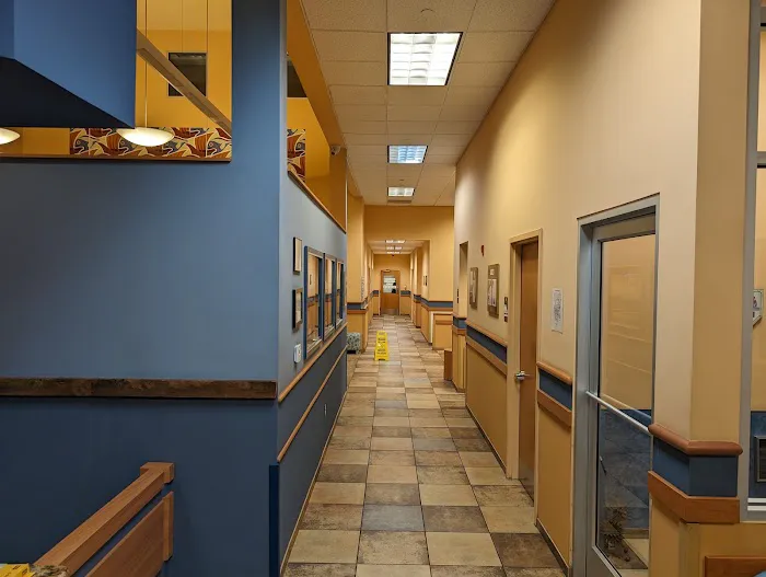 NorthStar VETS Picture 1