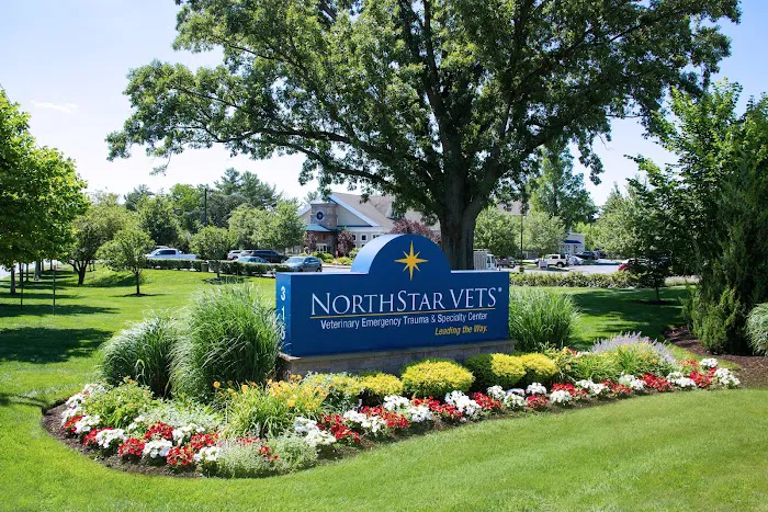 NorthStar VETS Picture 10