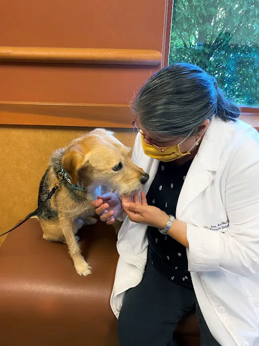 NorthStar VETS Picture 3