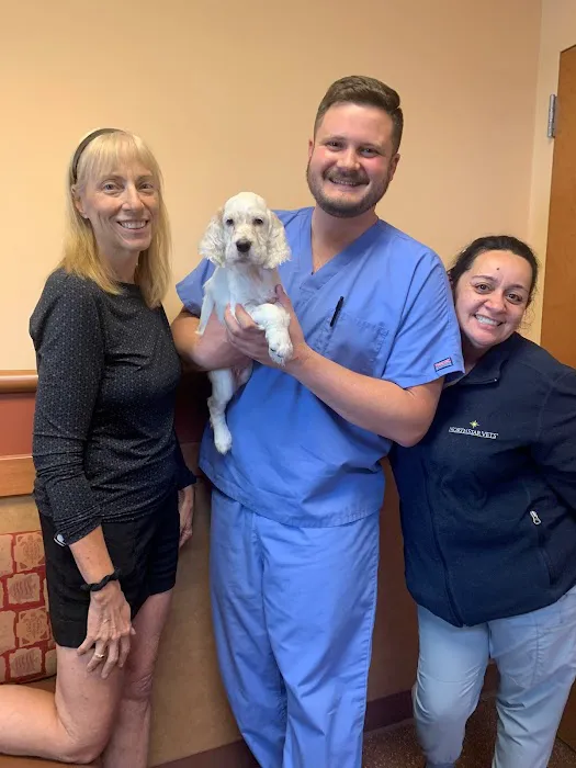 NorthStar VETS Picture 4