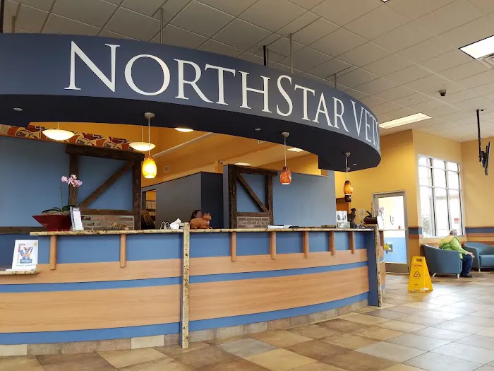 NorthStar VETS Picture 8