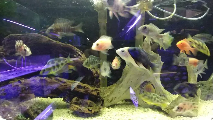 Sea Life Aquarium Services Picture 2