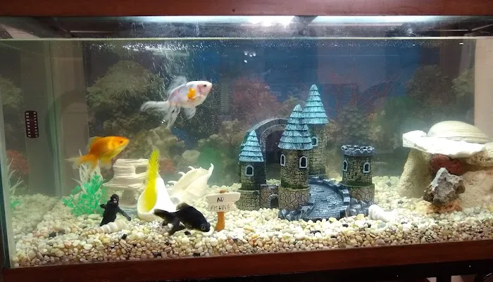 Sea Life Aquarium Services Picture 1