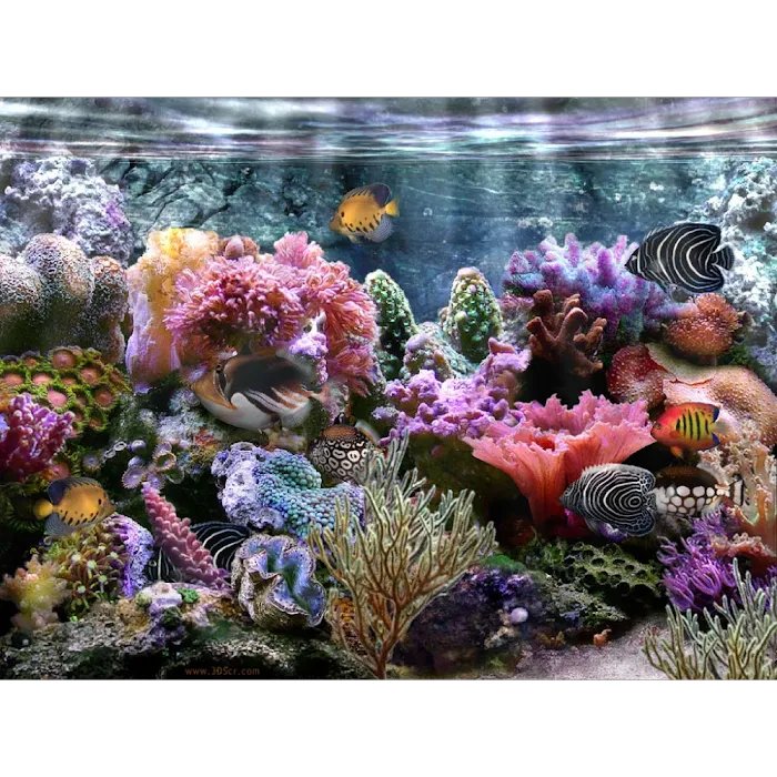 Sea Life Aquarium Services Picture 10