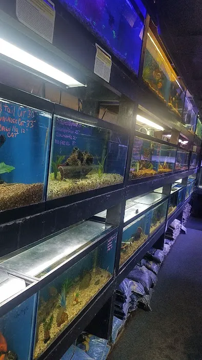 Sea Life Aquarium Services Picture 7