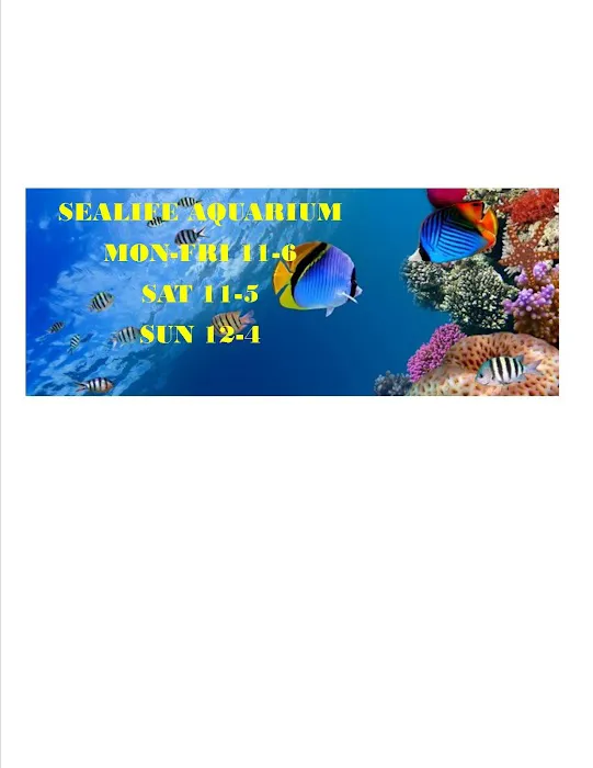 Sea Life Aquarium Services Picture 9