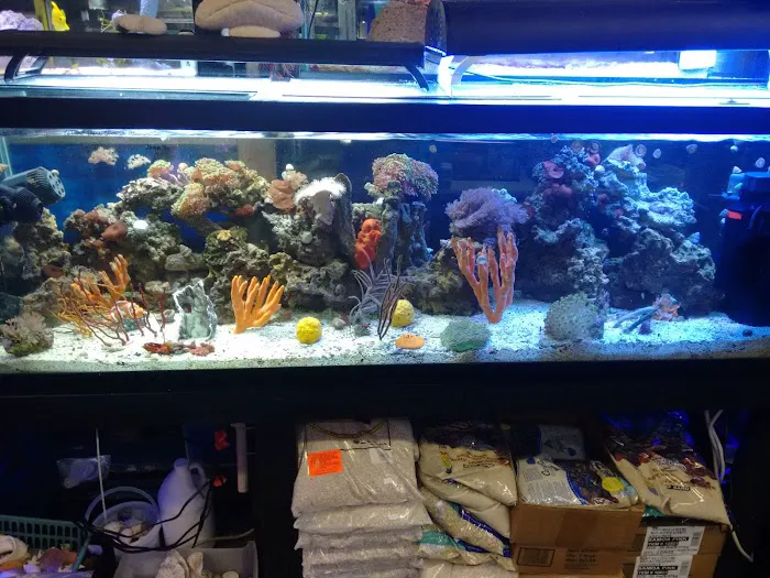 Sea Life Aquarium Services Picture 8
