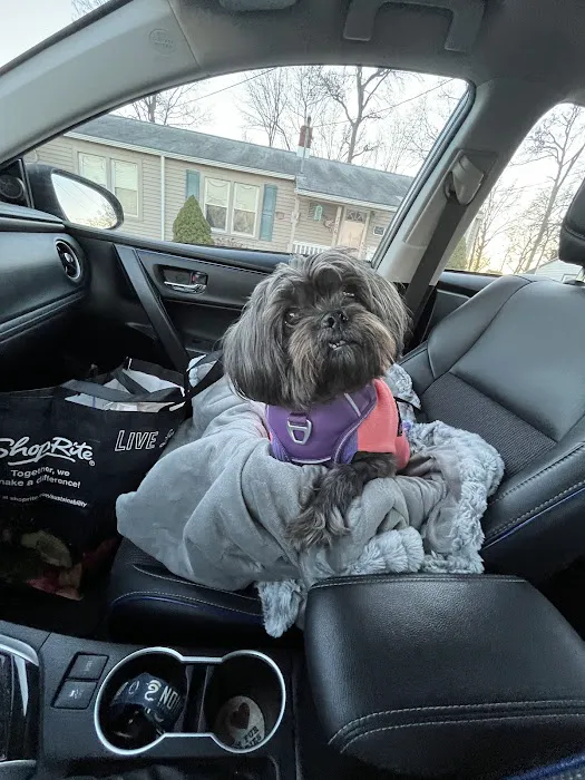 PetCure Oncology Robbinsville - Advanced Cancer Treatments for Cats & Dogs Picture 3