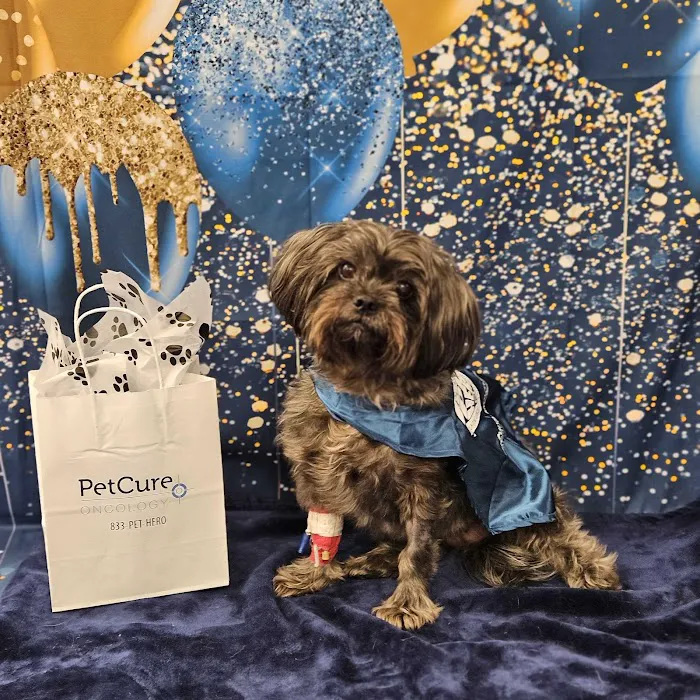 PetCure Oncology Robbinsville - Advanced Cancer Treatments for Cats & Dogs Picture 1