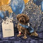 PetCure Oncology Robbinsville - Advanced Cancer Treatments for Cats & Dogs