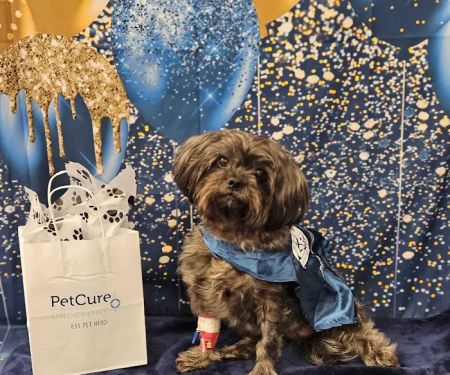 PetCure Oncology Robbinsville - Advanced Cancer Treatments for Cats & Dogs
