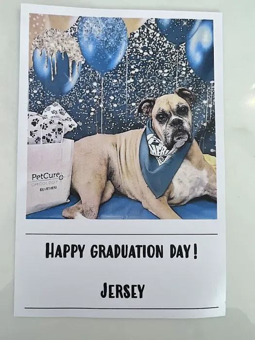 PetCure Oncology Robbinsville - Advanced Cancer Treatments for Cats & Dogs Picture 7