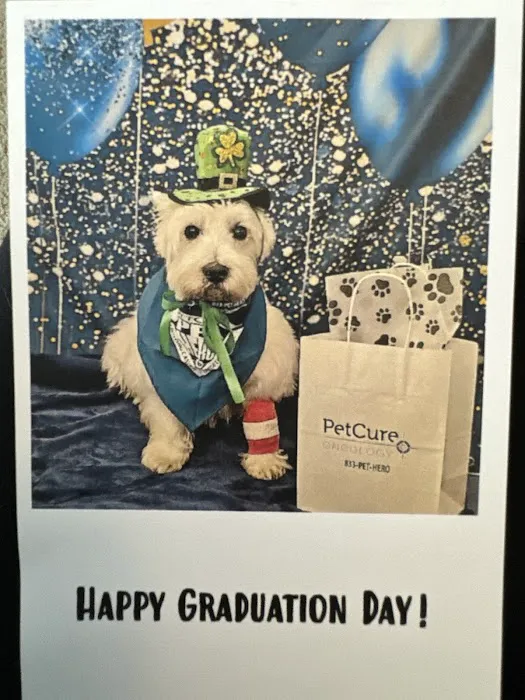 PetCure Oncology Robbinsville - Advanced Cancer Treatments for Cats & Dogs Picture 10