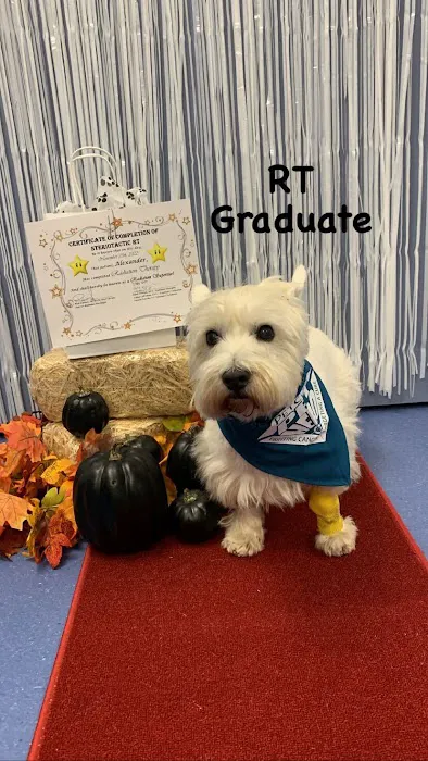 PetCure Oncology Robbinsville - Advanced Cancer Treatments for Cats & Dogs Picture 5