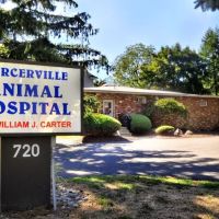 Mercerville Animal Hospital ico