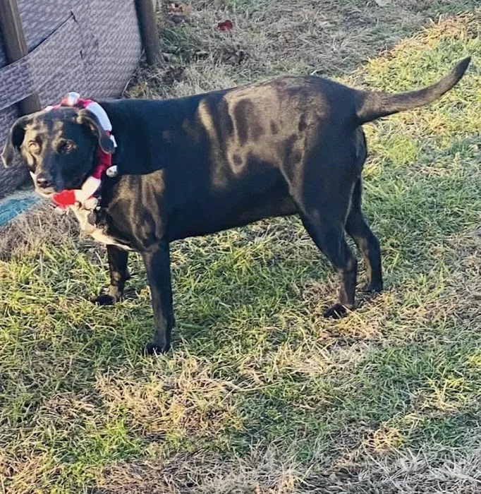 Mercerville Animal Hospital Picture 4