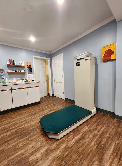 Mercerville Animal Hospital Picture 2