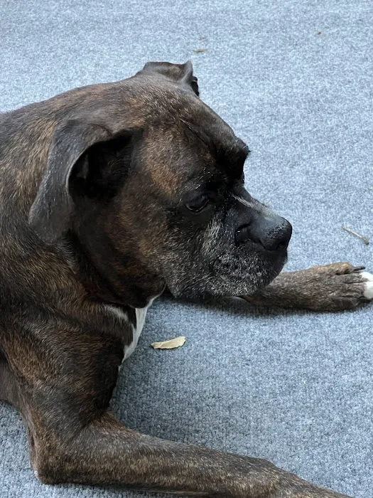 Mercerville Animal Hospital Picture 7