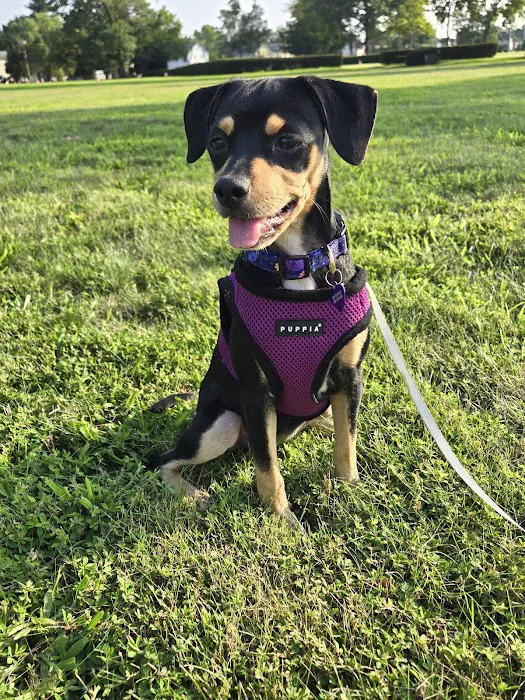 Mercerville Animal Hospital Picture 3