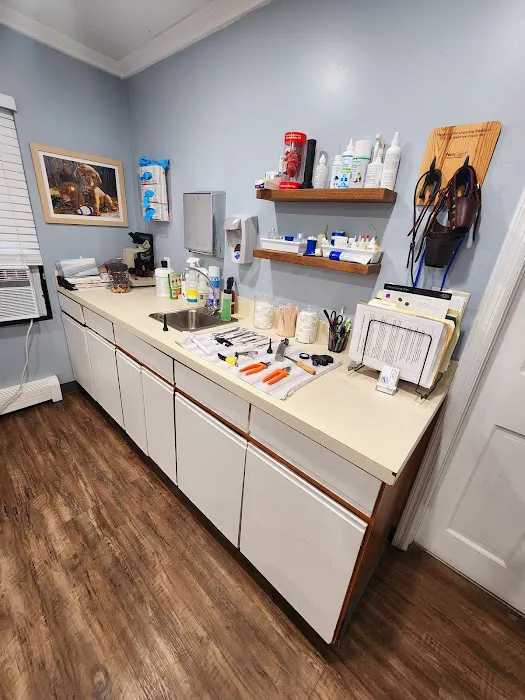 Mercerville Animal Hospital Picture 9