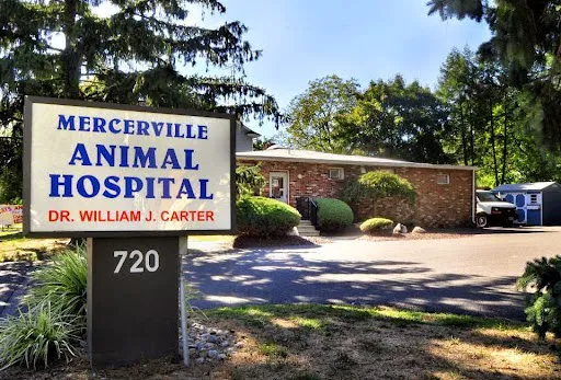 Mercerville Animal Hospital Picture 8