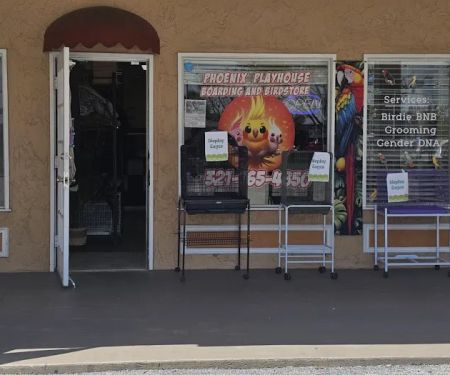 Phoenix Playhouse Boarding and Bird Store