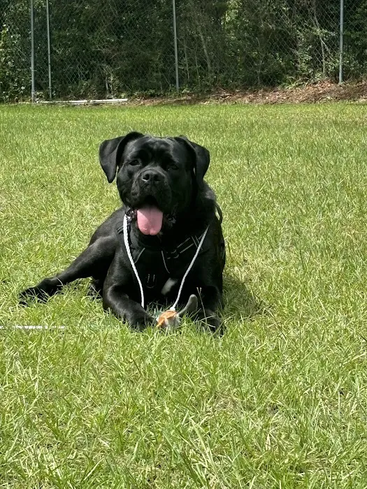 Seminole Animal Supply Inc Picture 2