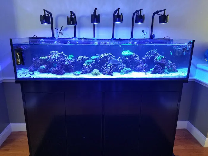 Little Slice of Ocean LLC Picture 3