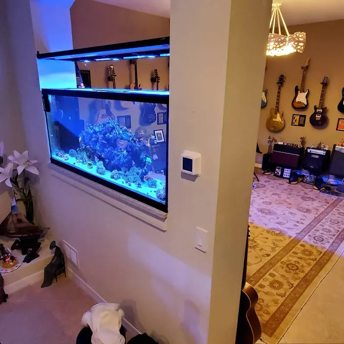 Little Slice of Ocean LLC Picture 5