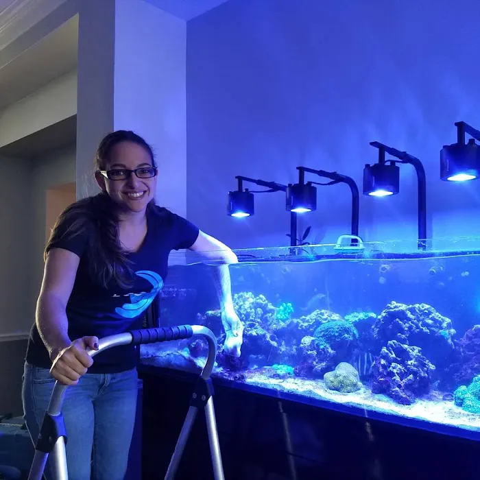 Little Slice of Ocean LLC Picture 9