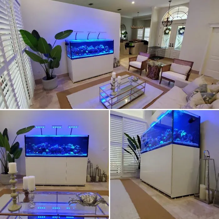 Little Slice of Ocean LLC Picture 1