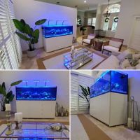 Little Slice of Ocean LLC ico