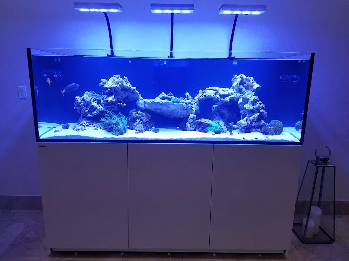 Little Slice of Ocean LLC Picture 6