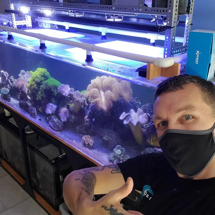 Little Slice of Ocean LLC Picture 7