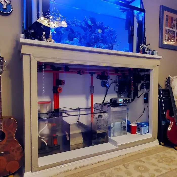 Little Slice of Ocean LLC Picture 10