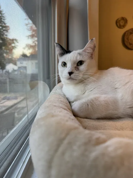 Nottingham Animal Hospital Picture 4