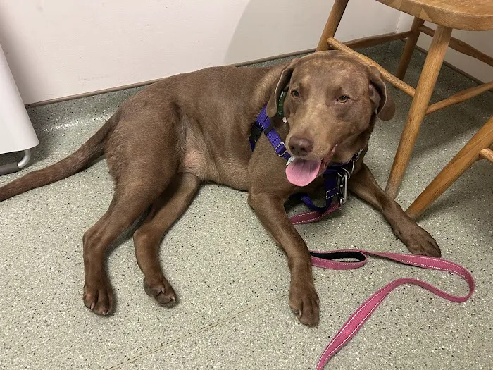 Nottingham Animal Hospital Picture 7