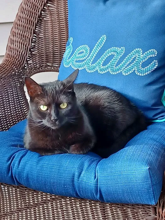 Nottingham Animal Hospital Picture 3