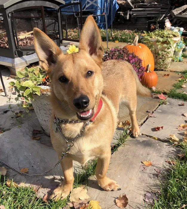 Nottingham Animal Hospital Picture 9