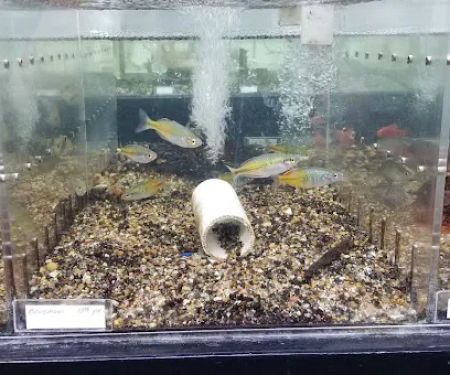 Fishy Business Aquarium