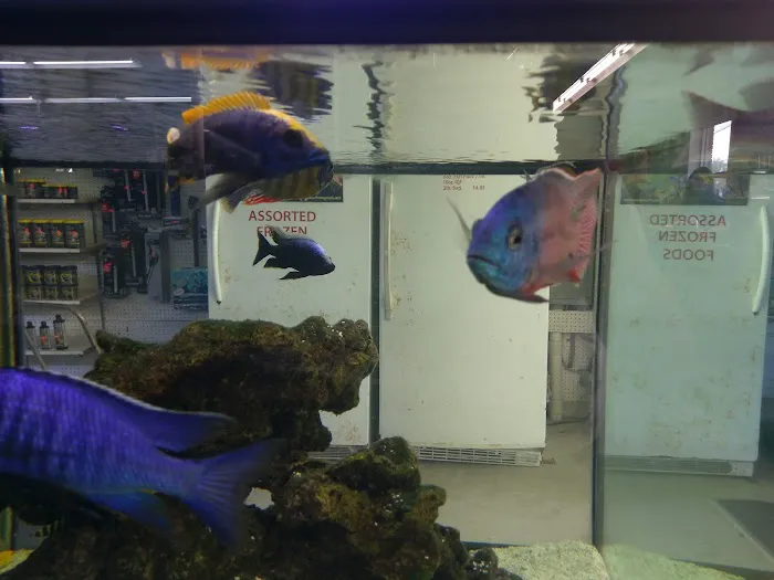 Fishy Business Aquarium Picture 2