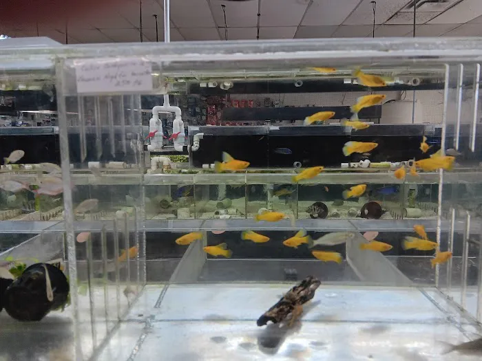 Fishy Business Aquarium Picture 6