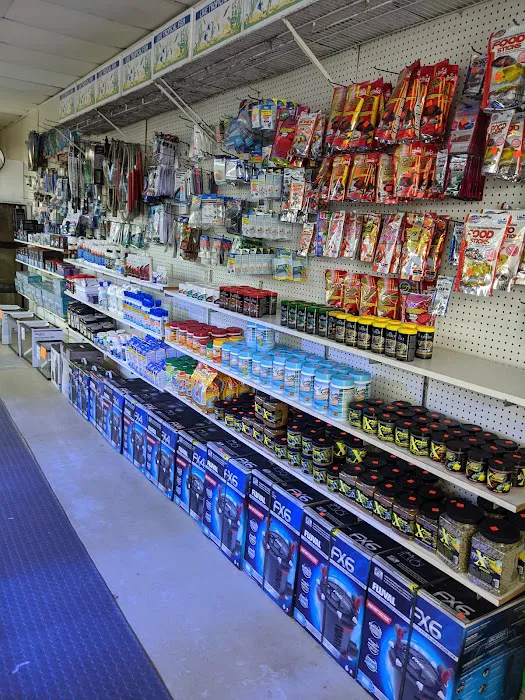 Fishy Business Aquarium Picture 7