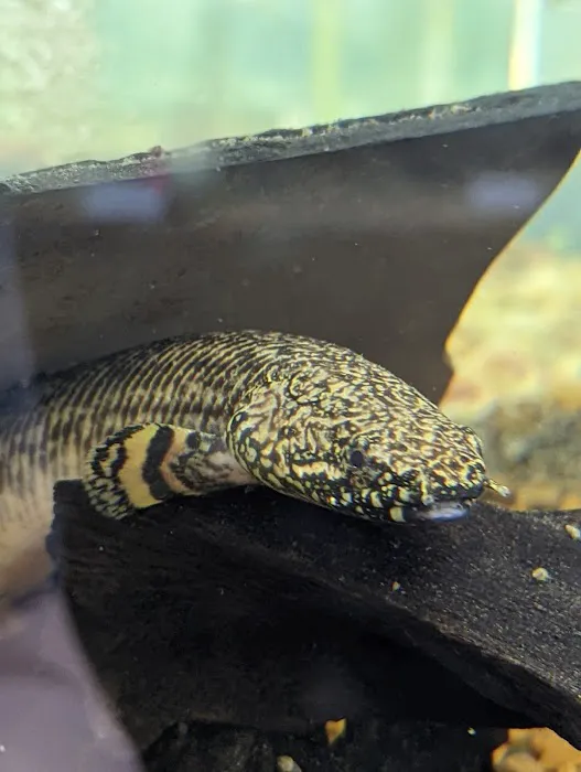 Fishy Business Aquarium Picture 9