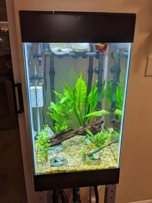 Fishy Business Aquarium Picture 8