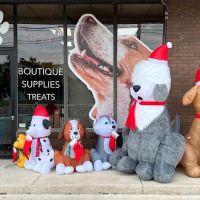 Doggo Lovers ico