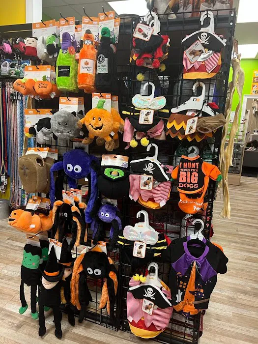 Doggo Lovers Picture 6