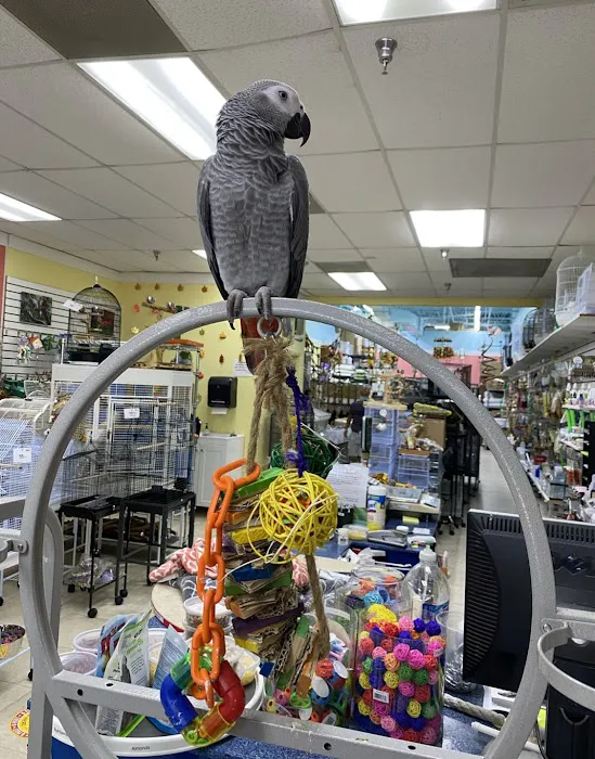 Rena's Pet Supplies Picture 2