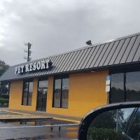 Rena's Pet Supplies ico