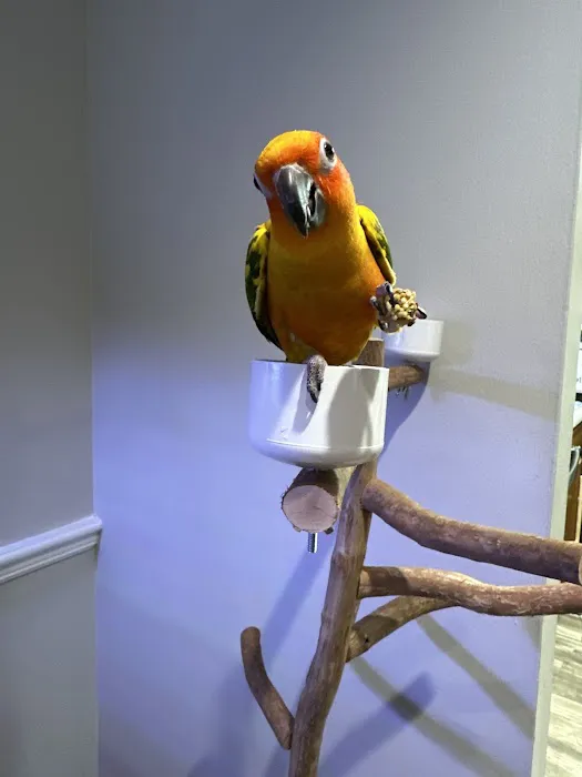 Rena's Pet Supplies Picture 5